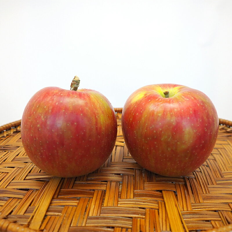 【ふるさと納税】 《家庭用》 葉とらずりんご シナノスイート 約4kg 【四戸農園】 減農薬 有機肥料 青森りんご リンゴ 林檎 アップル あおもり 青森 青森県 南部町 果物 くだもの フルーツ 訳あり 訳アリ わけあり 規格外 3kg 以上 F21U-358