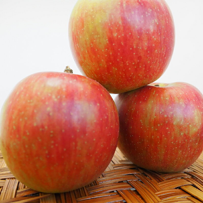 【ふるさと納税】 《家庭用》 葉とらずりんご シナノスイート 約4kg 【四戸農園】 減農薬 有機肥料 青森りんご リンゴ 林檎 アップル あおもり 青森 青森県 南部町 果物 くだもの フルーツ 訳あり 訳アリ わけあり 規格外 3kg 以上 F21U-358