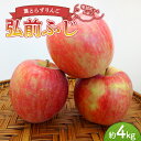 【ふるさと納税】 《家庭用》 葉とらずりんご 弘前ふじ 約4kg 【四戸農園】 減農薬 有機肥料 青森りんご リンゴ 林檎 アップル あおもり 青森 青森県 南部町 果物 くだもの フルーツ 訳あり 訳アリ わけあり 規格外 3kg 以上 F21U-359