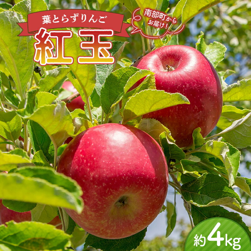 【ふるさと納税】 葉とらずりんご 紅玉 約4kg 【四戸農園】 青森県エコファーマー認定 減農薬 有機肥料 果物 くだもの フルーツ F21U-360のサムネイル