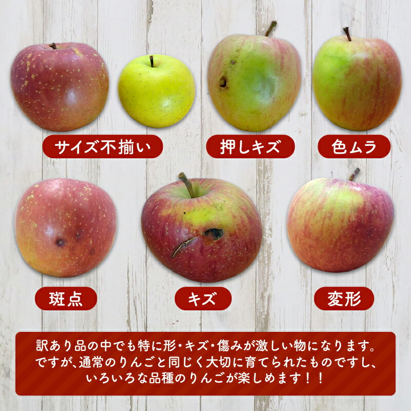 【ふるさと納税】 《訳ありの中の訳あり》 葉とらずりんご詰め合わせ 約5kg 【四戸農園】 減農薬 有機肥料 青森りんご リンゴ 林檎 アップル あおもり 青森 青森県 南部町 果物 くだもの フルーツ 訳あり 訳アリ わけあり 規格外 3kg 以上 F21U-361