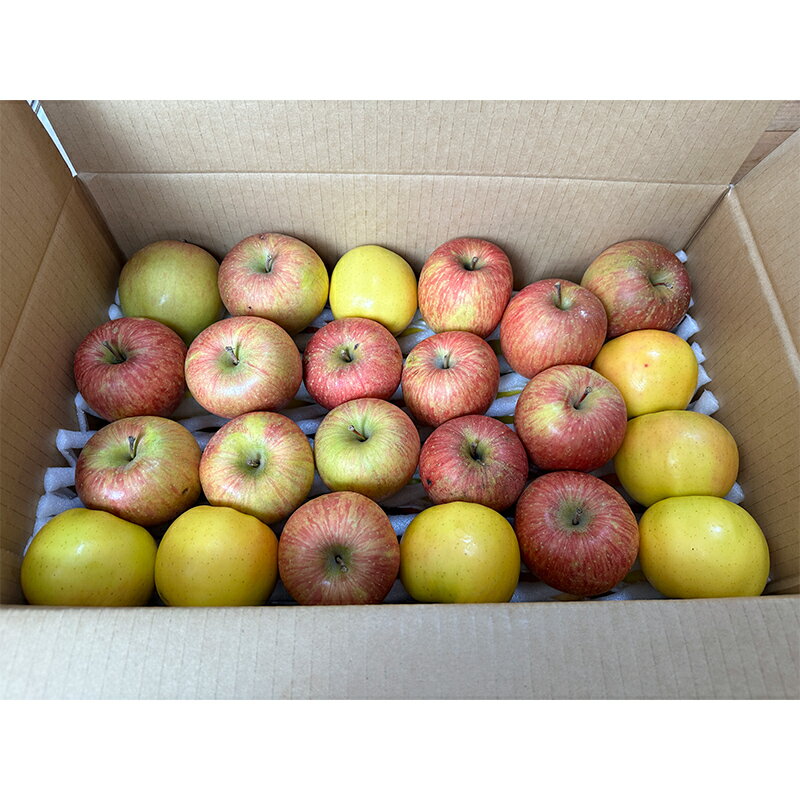 【ふるさと納税】 《訳ありの中の訳あり》 葉とらずりんご詰め合わせ 約5kg 【四戸農園】 減農薬 有機肥料 青森りんご リンゴ 林檎 アップル あおもり 青森 青森県 南部町 果物 くだもの フルーツ 訳あり 訳アリ わけあり 規格外 3kg 以上 F21U-361