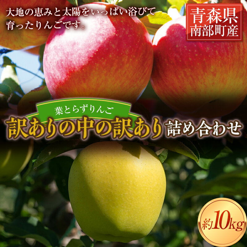 【ふるさと納税】 《訳ありの中の訳あり》 葉とらずりんご詰め合わせ 約10kg 【四戸農園】 減農薬 有機肥料 青森りんご リンゴ 林檎 アップル あおもり 青森 青森県 南部町 果物 くだもの フルーツ 訳あり 訳アリ わけあり 規格外 F21U-362のサムネイル