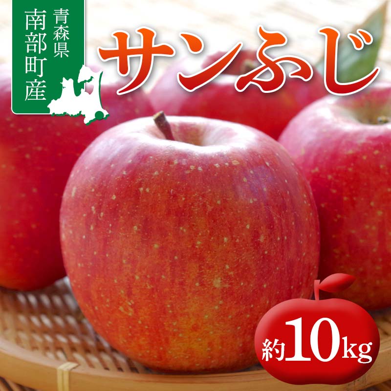 【ふるさと納税】 青森県 南部町産 りんご サンふじ 約10