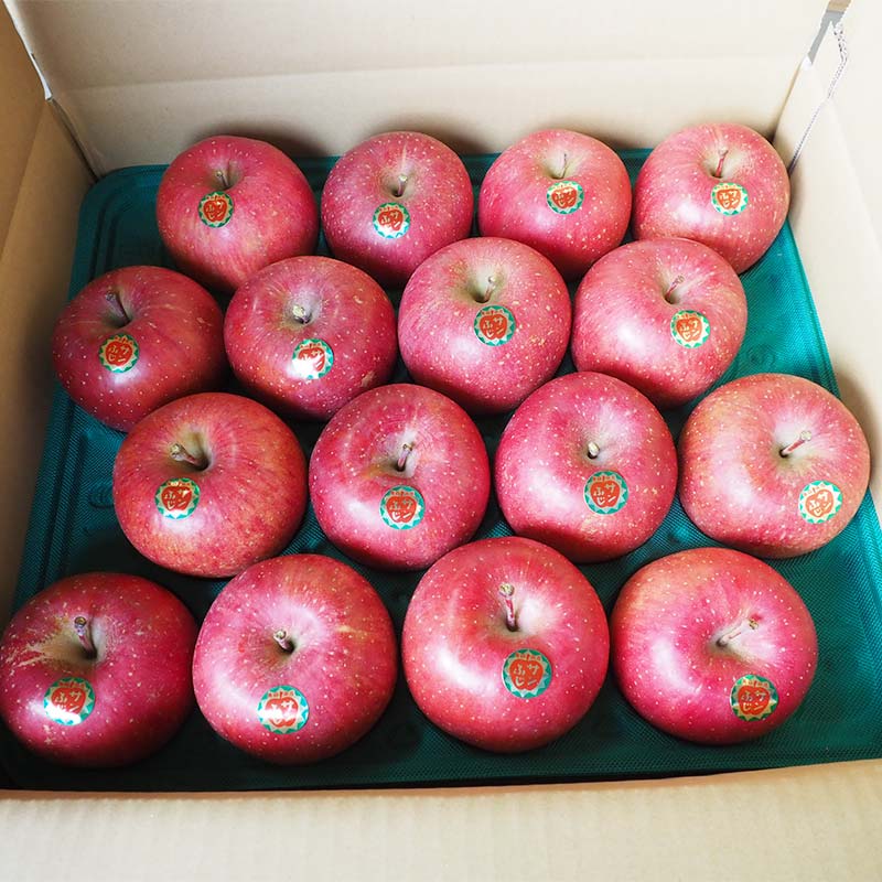 【ふるさと納税】 青森県 南部町産 りんご サンふじ 約10kg 【盛果園】 青森りんご リンゴ 林檎 アップル あおもり 青森 南部町 三戸 南部 果物 くだもの フルーツ 3kg 5kg 以上 F21U-366