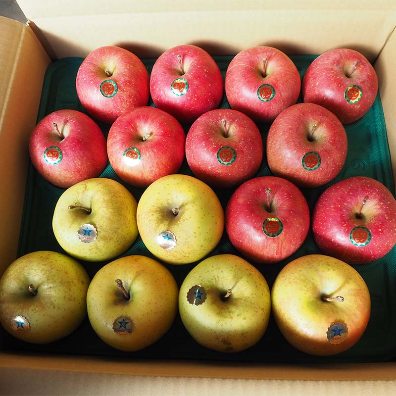 【ふるさと納税】 青森県 南部町産 りんご サンふじ＆サン金星 約5kg 【盛果園】 青森りんご リンゴ 林檎 アップル あおもり 青森 南部町 三戸 南部 果物 くだもの フルーツ セット 3kg 以上 F21U-367