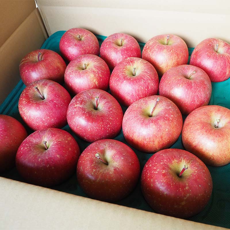 【ふるさと納税】 ≪訳あり≫ 青森県 南部町産 りんご サンふじ 約5kg 【盛果園】 青森りんご リンゴ 林檎 アップル あおもり 青森 南部町 三戸 南部 果物 くだもの フルーツ 家庭用 訳アリ わけあり 規格外 3kg 以上 F21U-368