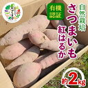 4位! 口コミ数「0件」評価「0」 有機認証 自然栽培 さつまいも（紅はるか） 約2kg 【むがし農園】 サツマイモ 薩摩芋 焼芋 やきいも 焼きいも スイーツ おやつ デザ･･･ 