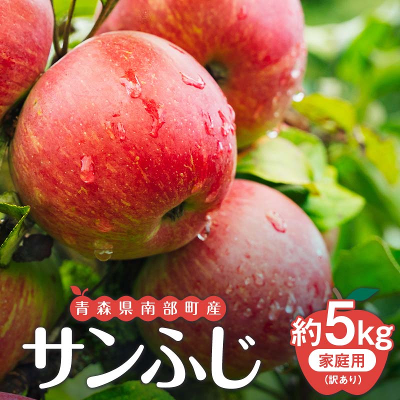 【ふるさと納税】 【訳あり】青森県南部町産りんご 家庭用サンふじ 約5kg【泉山果樹園】青森りんご リンゴ 林檎 アップル あおもり 青森 青森県 南部町 三戸 南部 果物 くだもの フルーツ 訳アリ わけあり 家庭用 規格外 F21U-402