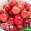 【ふるさと納税】 さくらんぼ 紅秀峰 約1kg (バラ詰め) 《西塚農園》 サクランボ チェリー 果物 くだもの フルーツ 夏果実 桜桃 高級 贈答 ギフト F...