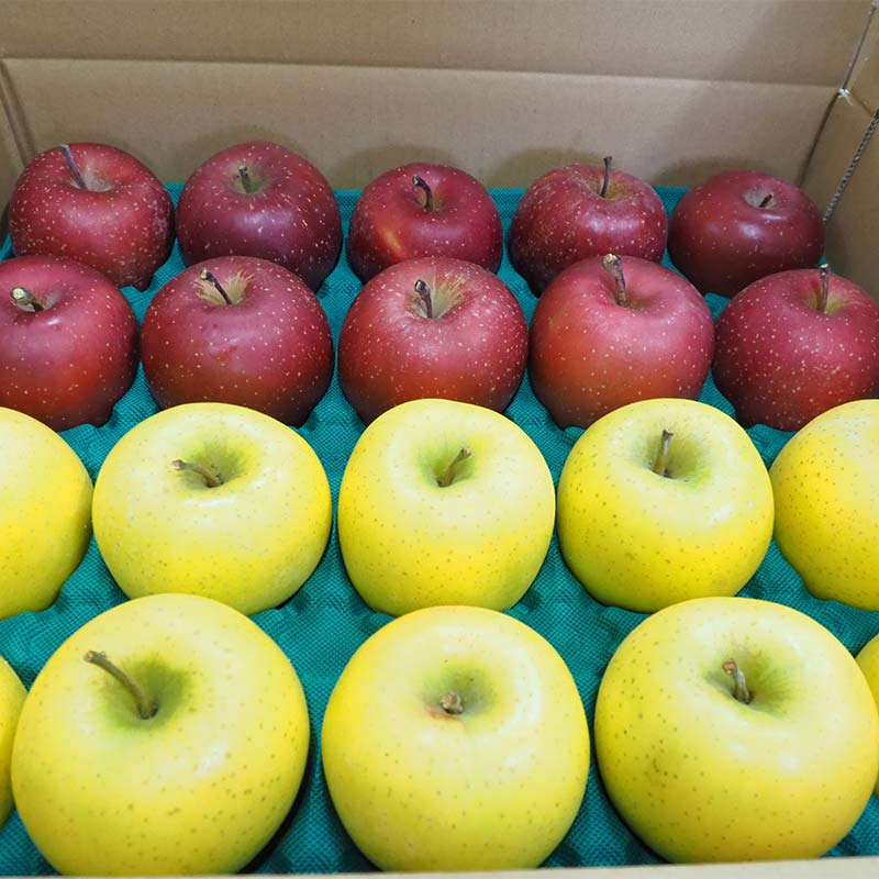 【ふるさと納税】 青森りんご サンふじ・シナノゴールド 約5kg （小玉20個） 【マルス果樹園】 小玉 食べきり 2種 セット ふじ シナノゴールド りんご リンゴ 林檎 アップル 果物 くだもの フルーツ あおもり 青森 青森県 南部町 三戸 南部 3kg 以上 F21U-465