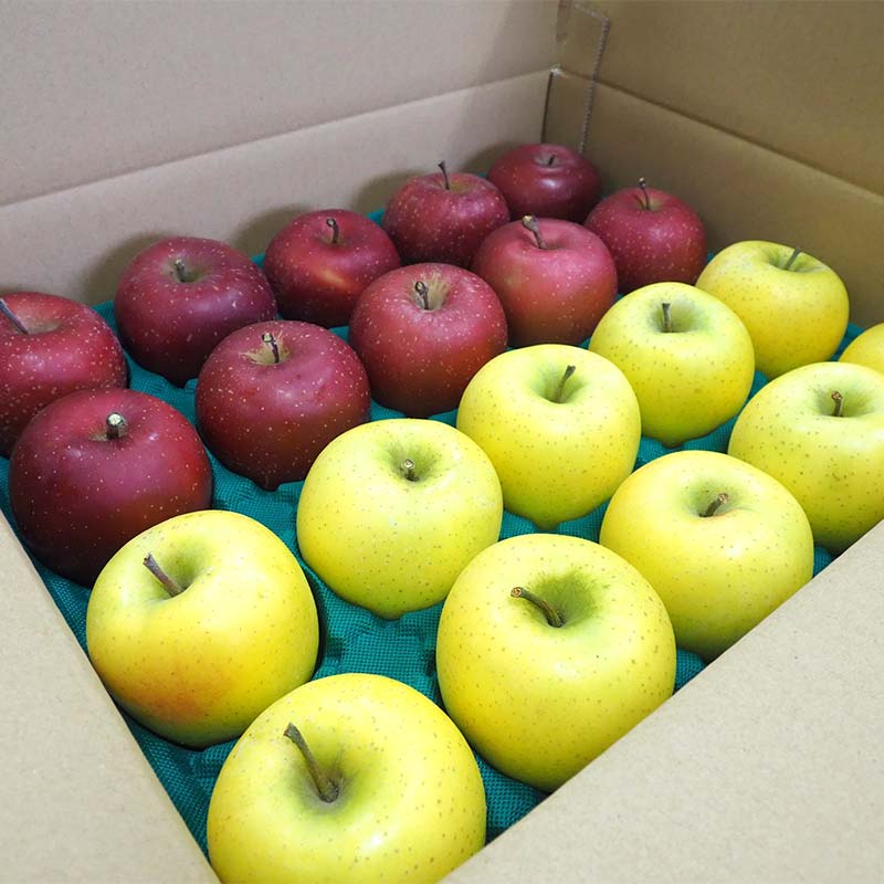 【ふるさと納税】 青森りんご サンふじ・シナノゴールド 約5kg （小玉20個） 【マルス果樹園】 小玉 食べきり 2種 セット ふじ シナノゴールド りんご リンゴ 林檎 アップル 果物 くだもの フルーツ あおもり 青森 青森県 南部町 三戸 南部 3kg 以上 F21U-465