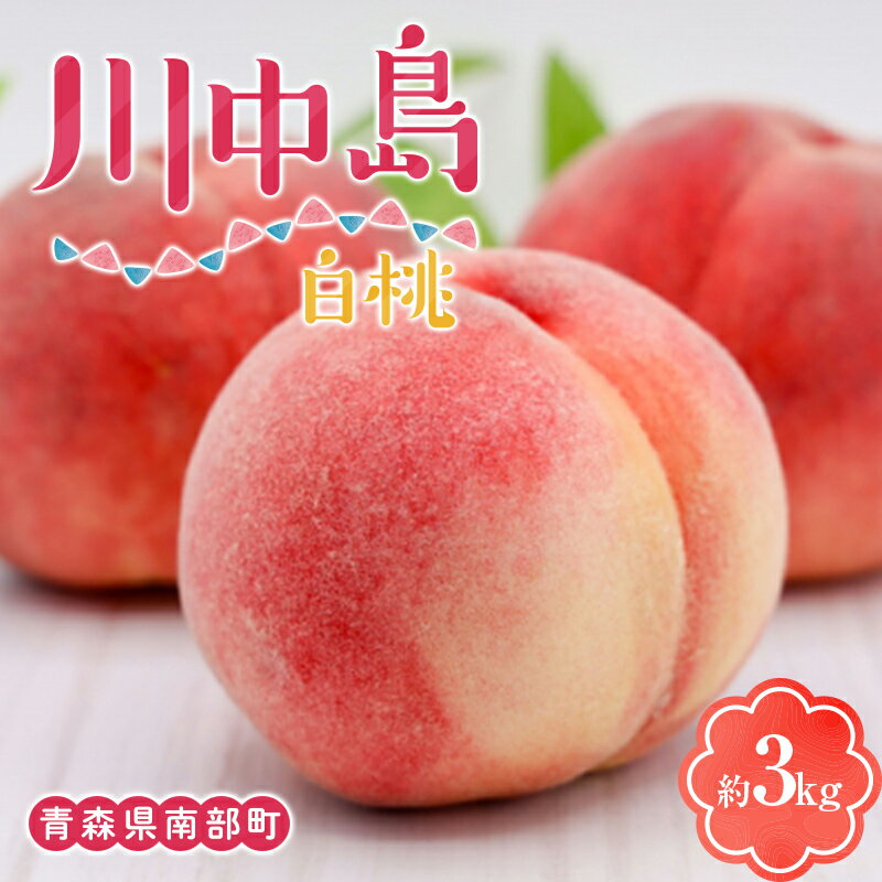 川中島白桃 約3kg(8〜12玉) [泉山果樹園] 青森県 南部町 桃 モモ もも 果物 くだもの フルーツ F21U-467
