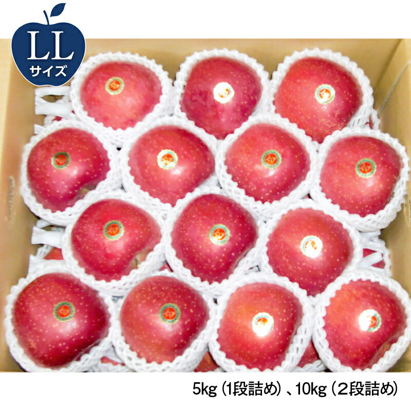 【ふるさと納税】 《選べる容量とサイズ》 青森県産 サンふじ LLサイズ・Lサイズ・Mサイズ／5kg・10kg 【佐々木あきおはるこ農園】 青森りんご リンゴ 林檎 アップル あおもり 青森県 南部町 三戸 果物 くだもの フルーツ F21U-546var