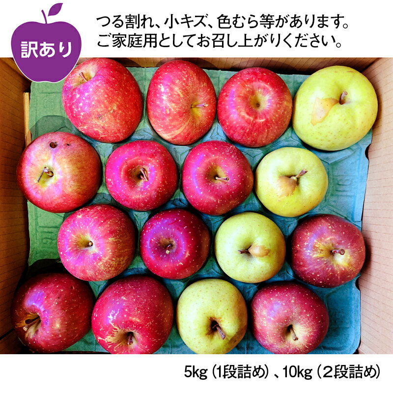 【ふるさと納税】 《選べる容量》【訳あり】 青森県産 サンふじ(3/4)・王林(1/4)セット 5kg／10kg ≪佐々木あきおはるこ農園≫ 青森りんご リンゴ 林檎 アップル 家庭用 規格外 あおもり 青森県 南部町 三戸 果物 くだもの フルーツ 3kg 以上 F21U-557var
