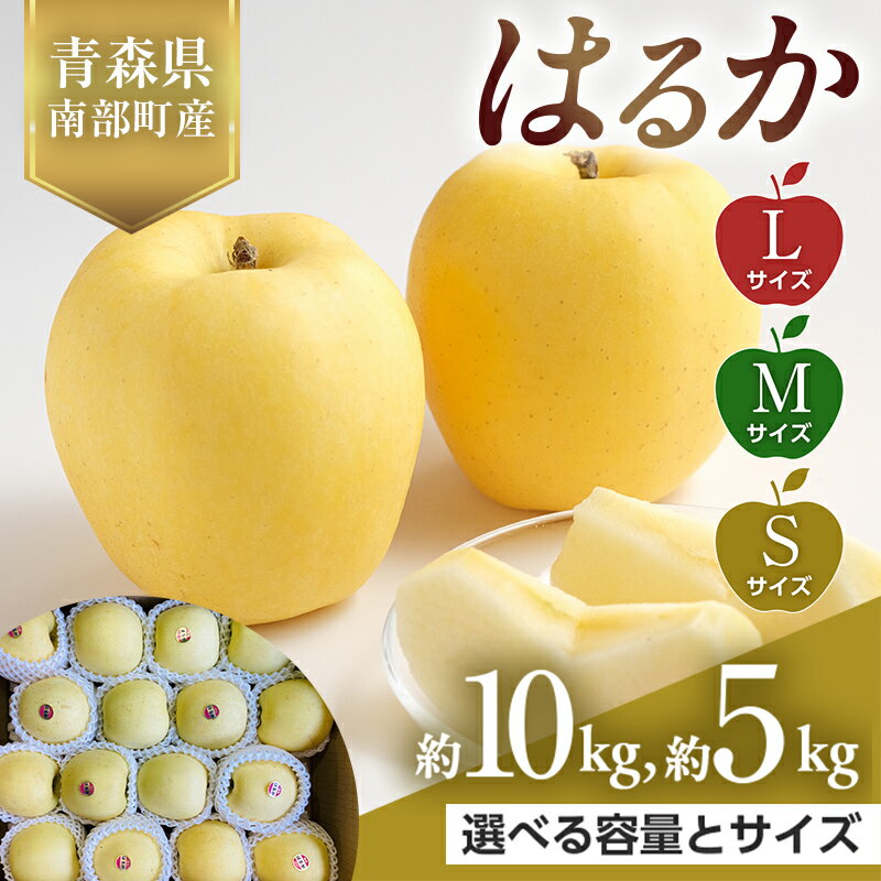 [選べる容量とサイズ] 青森県産 希少りんご はるか Lサイズ・Mサイズ・Sサイズ/5kg・10kg [佐々木あきおはるこ農園] 青森りんご リンゴ 林檎 アップル あおもり 青森県 南部町 三戸 果物 くだもの フルーツ F21U-562var