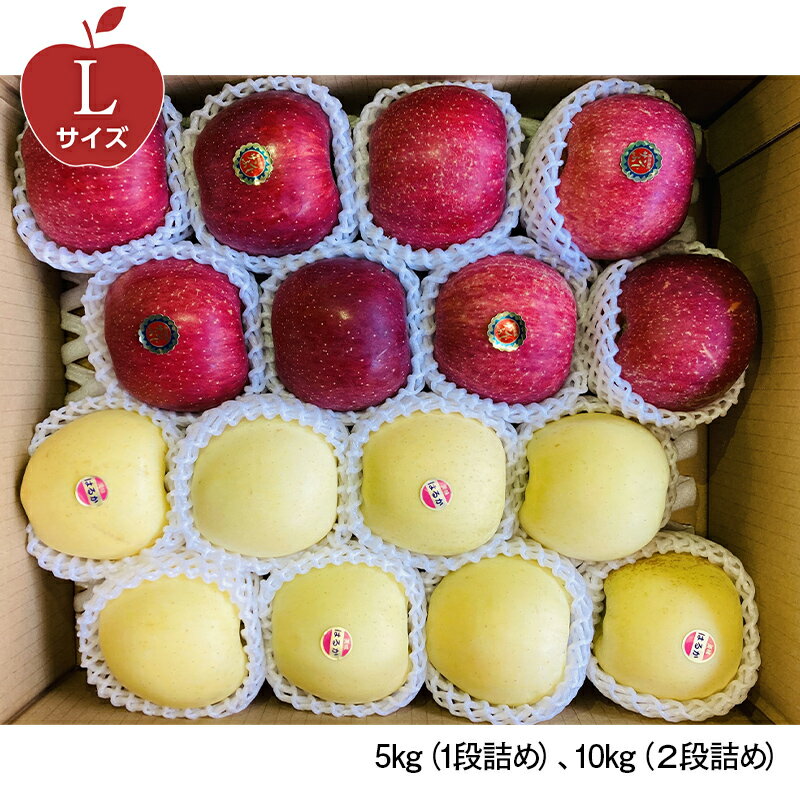 【ふるさと納税】 《選べる容量とサイズ》 青森県産 サンふじ(1/2)・はるか(1/2)セット Lサイズ・Mサイズ・Sサイズ／5kg(各2.5kg)・10kg(各5kg)【佐々木あきおはるこ農園】 青森りんご リンゴ 林檎 アップル あおもり 青森県 南部町 三戸 果物 くだもの フルーツ F21U-568var