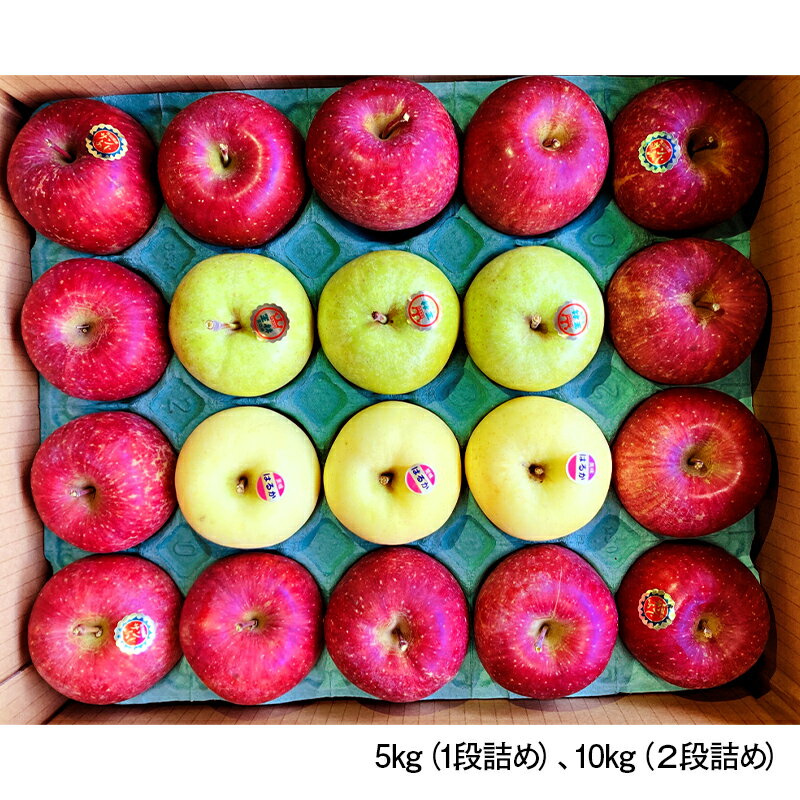 【ふるさと納税】 《選べる容量》 青森県産 サンふじ・はるか・王林 (自分ご褒美セット) 5kg／10kg 【佐々木あきおはるこ農園】 青森りんご リンゴ 林檎 アップル あおもり 青森県 南部町 三戸 果物 くだもの フルーツ 3kg 以上 F21U-580var