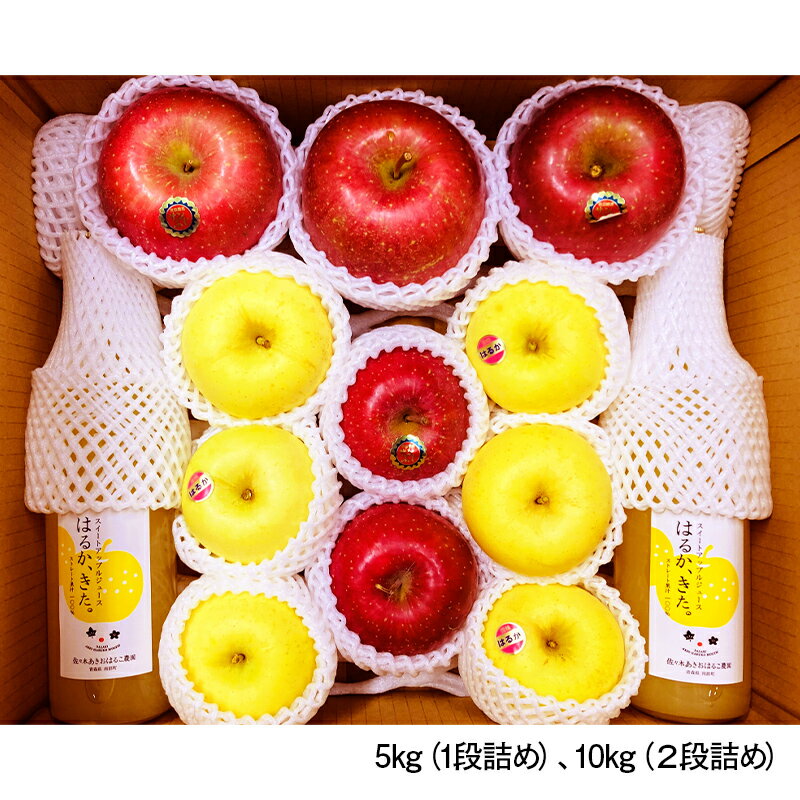 【ふるさと納税】 《選べる容量》 青森県産 サンふじ・はるか＆りんごジュース (農園セットスペシャル) 5kg／10kg 【佐々木あきおはるこ農園】 青森りんご リンゴ 林檎 アップル リンゴジュース あおもり 青森県 南部町 三戸 果物 くだもの フルーツ 3kg 以上 F21U-584var