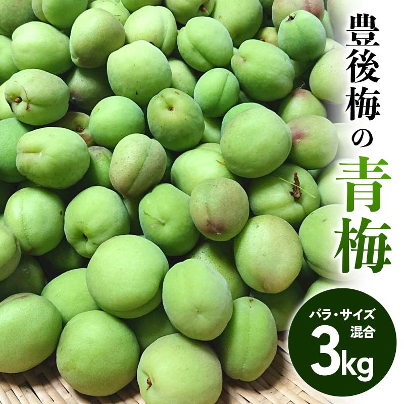 豊後梅の青梅 約3kg (バラ) ≪西塚農園≫ 梅 梅干し 梅酒 梅干 梅シロップ 梅ジャム 3キロ 数量限定 F21U-589