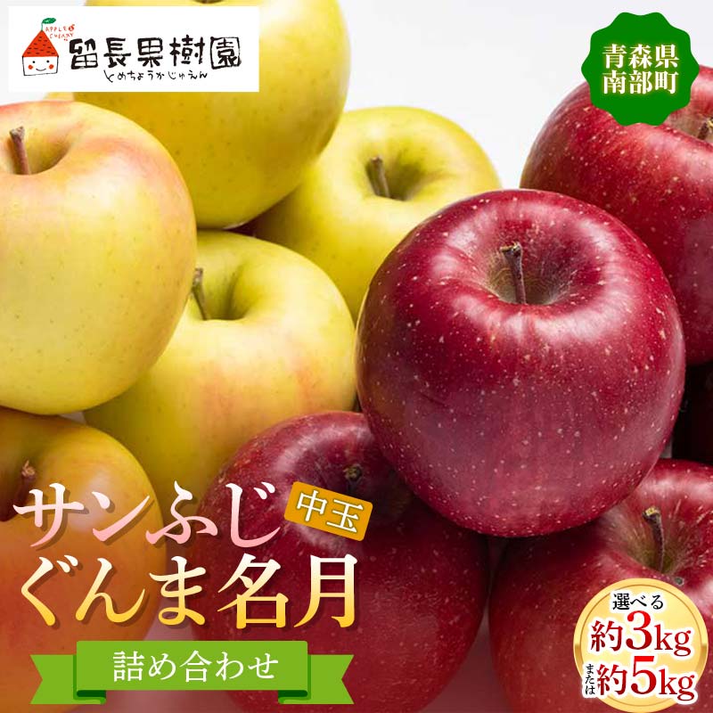 [選べる容量]サンふじ・ぐんま名月 詰め合わせ (中玉) 約3kg 約5kg [留長果樹園] 青森りんご りんご リンゴ 林檎 アップル ふじ ぐんま名月 フルーツ 果物 くだもの 2種 セット あおもり 青森県 南部町 三戸 F21U-599var