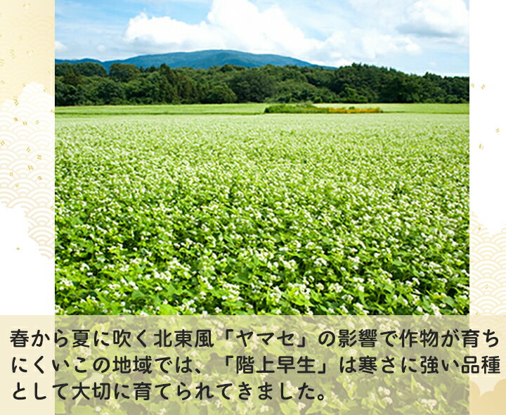 青森県階上町の画像2