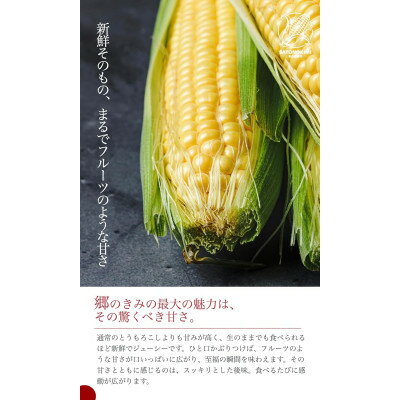 青森県新郷村の画像2