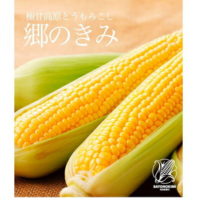 【ふるさと納税】先行予約【三つ星フレンチの食材に選ばれたとうもろこし】「郷のきみ」10本【配送不可地域:離島・沖縄県・九州】【1597648】