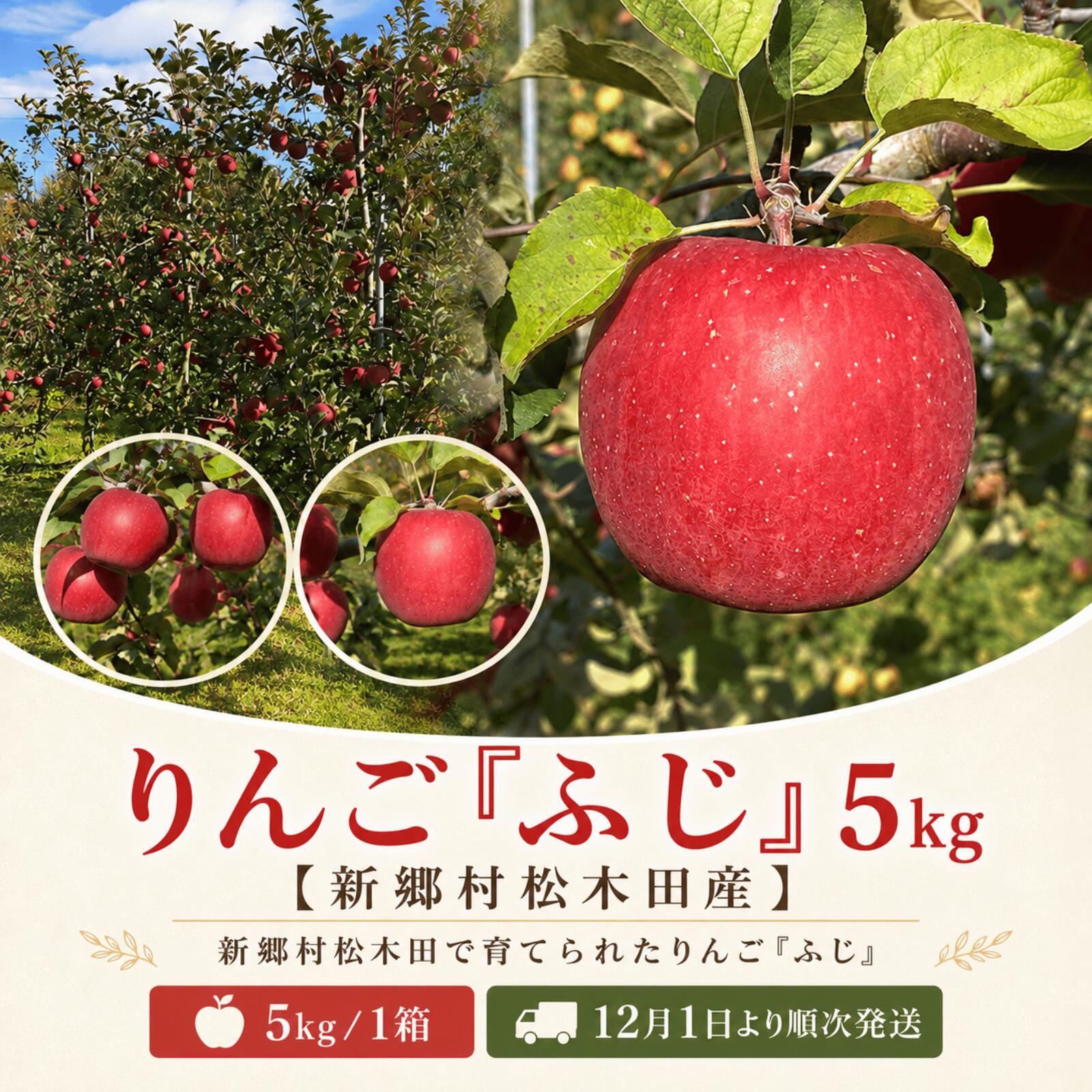 【ふるさと納税】りんご「ふじ」5kg【新郷村松木田産】 林檎　リンゴ　フジ　出荷開始時期：12月1日～1月31日