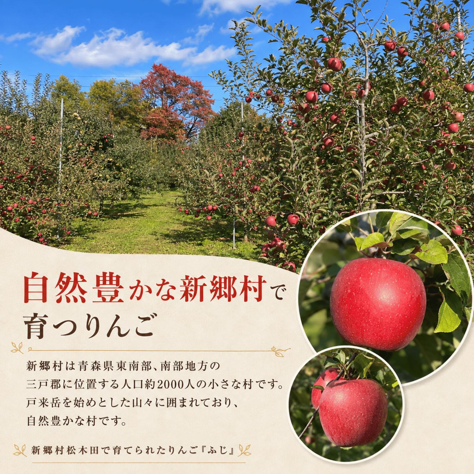 【ふるさと納税】りんご「ふじ」5kg【新郷村松木田産】 林檎　リンゴ　フジ　出荷開始時期：12月1日～1月31日 f024503-shingo-10000075 青森県新郷村 サンプル画像2