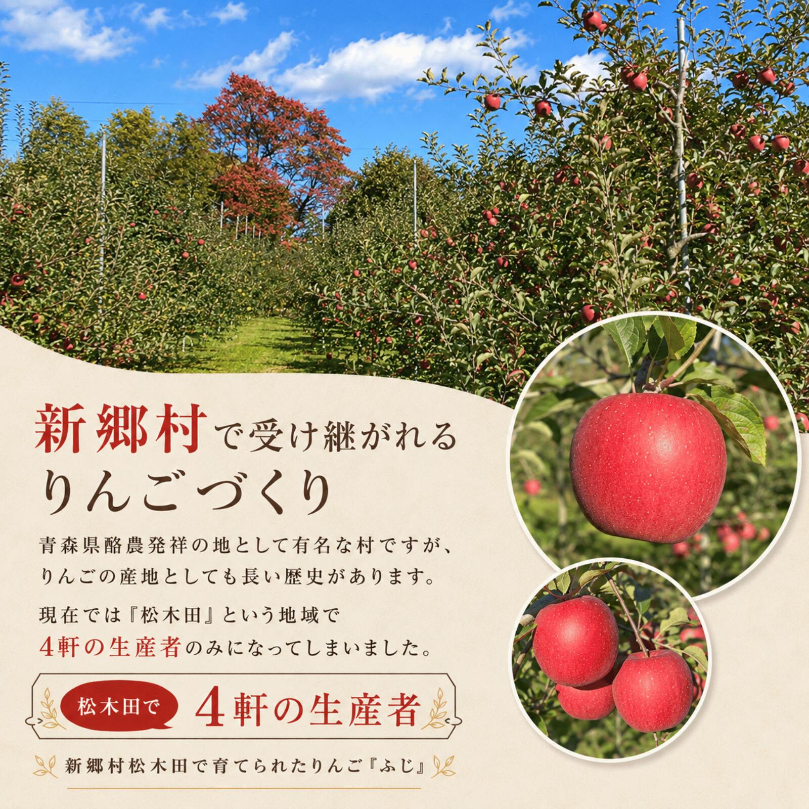 【ふるさと納税】りんご「ふじ」5kg【新郷村松木田産】 林檎　リンゴ　フジ　出荷開始時期：12月1日～1月31日 f024503-shingo-10000075 青森県新郷村 サンプル画像3