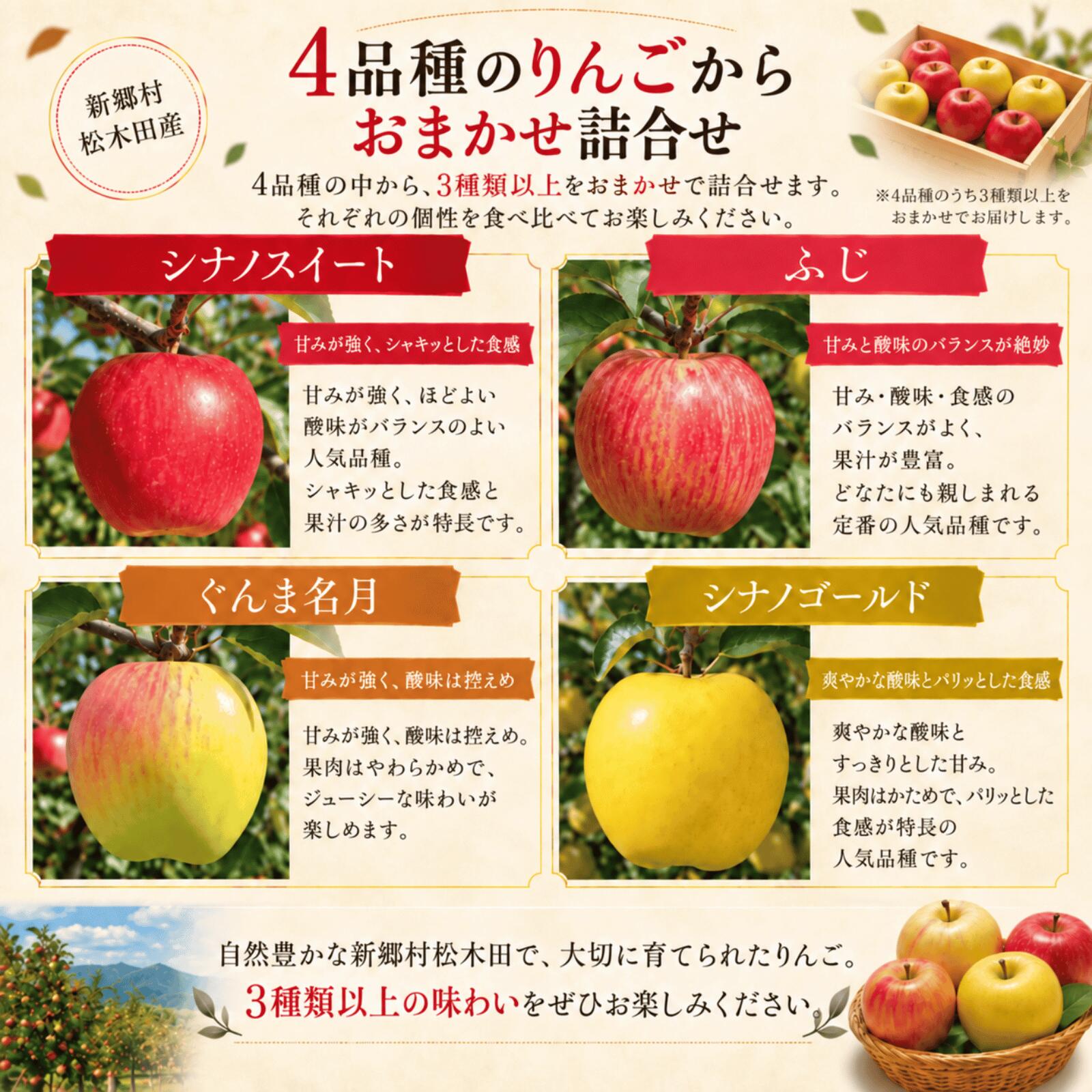 【ふるさと納税】りんご「MIX」5kg【新郷村松木田産】 リンゴ　林檎　りんご　ふじ　ぐんま名月　シナノスイート　シナノゴールド　出荷開始時期：12月1日〜1月31日 f024503-shingo-10000076 青森県新郷村 サンプル画像2