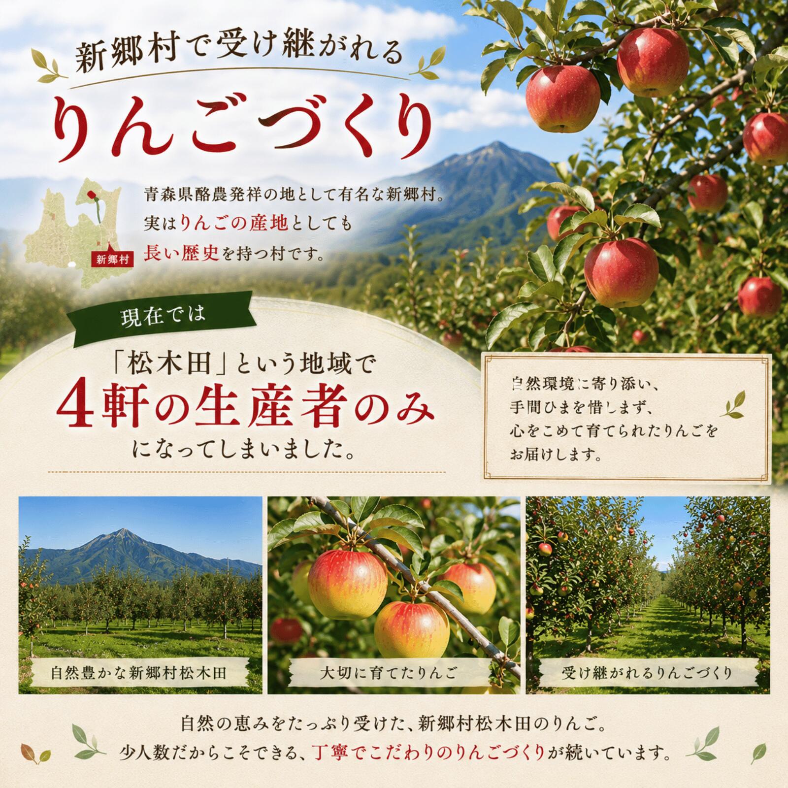 【ふるさと納税】りんご「MIX」5kg【新郷村松木田産】 リンゴ　林檎　りんご　ふじ　ぐんま名月　シナノスイート　シナノゴールド　出荷開始時期：12月1日〜1月31日 f024503-shingo-10000076 青森県新郷村 サンプル画像3
