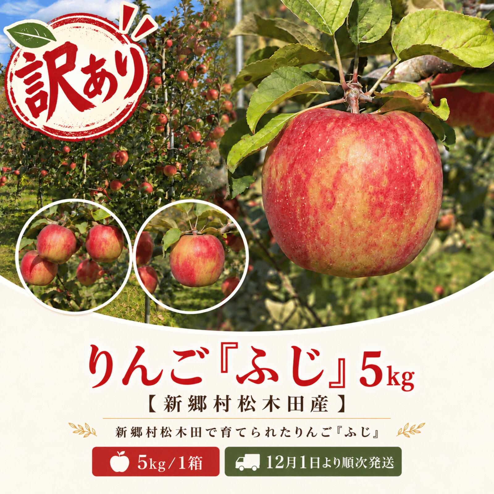 【ふるさと納税】【訳あり】りんご「ふじ」5kg（新郷村松木田産） 林檎　リンゴ　フジ　出荷開始時期：12月1日～1月31日