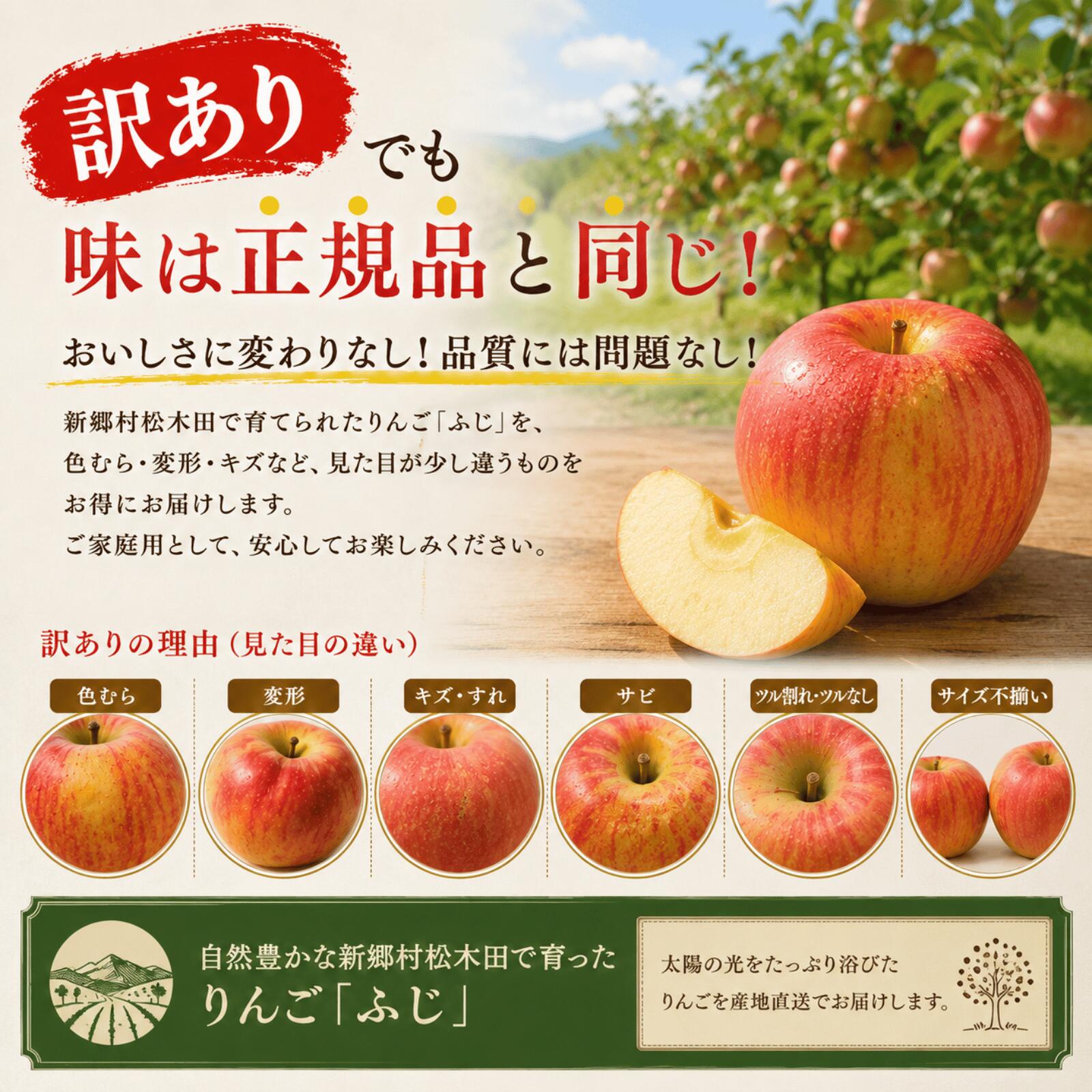 【ふるさと納税】【訳あり】りんご「ふじ」5kg（新郷村松木田産） 林檎　リンゴ　フジ　出荷開始時期：12月1日～1月31日 f024503-shingo-10000084 青森県新郷村 サンプル画像3