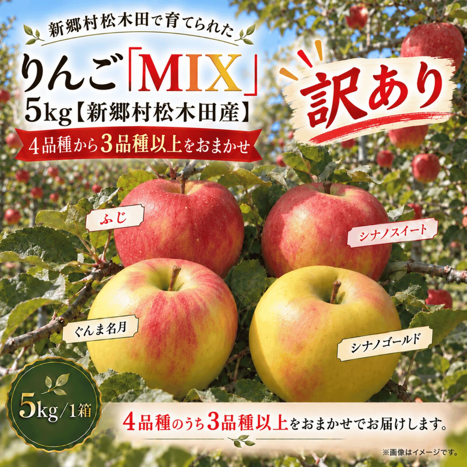 【訳あり】りんご「MIX」5kg（新郷村松木田産） リンゴ 林檎 りんご ふじ ぐんま名月 シナノスイート シナノゴールド 出荷開始時期：12月1日〜1月31日