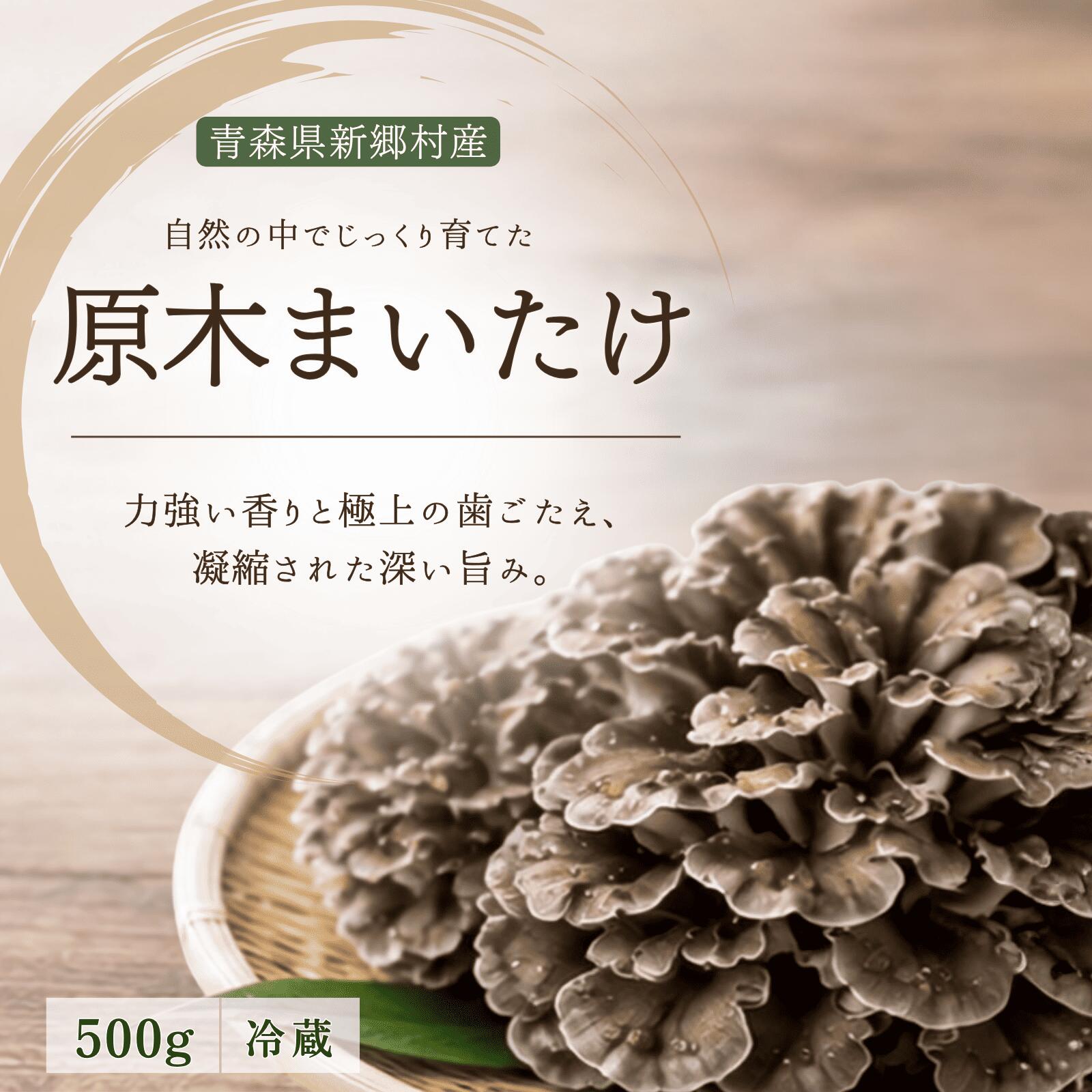 【ふるさと納税】しんごう原木まいたけ　500g　出荷開始時期：10月1日〜10月20日
