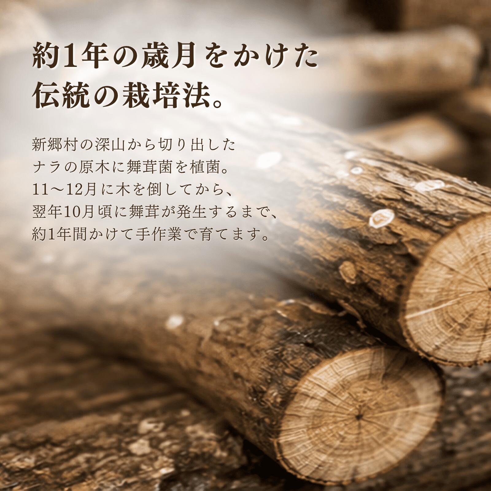 【ふるさと納税】しんごう原木まいたけ　1kg　出荷開始時期：10月1日〜10月20日 f024503-shingo-10000082 青森県新郷村 サンプル画像2