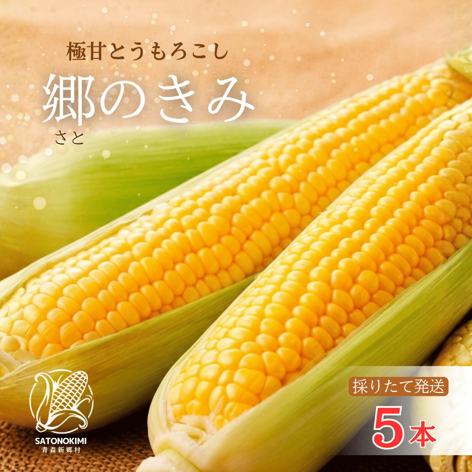 【ふるさと納税】＜先行予約＞【三つ星フレンチの食材に選ばれたとうもろこし】「郷のきみ」5本【期間限定・数量限定】 とうもろこし　きみ　コーン　出荷開始時期：8月7日〜9月30日