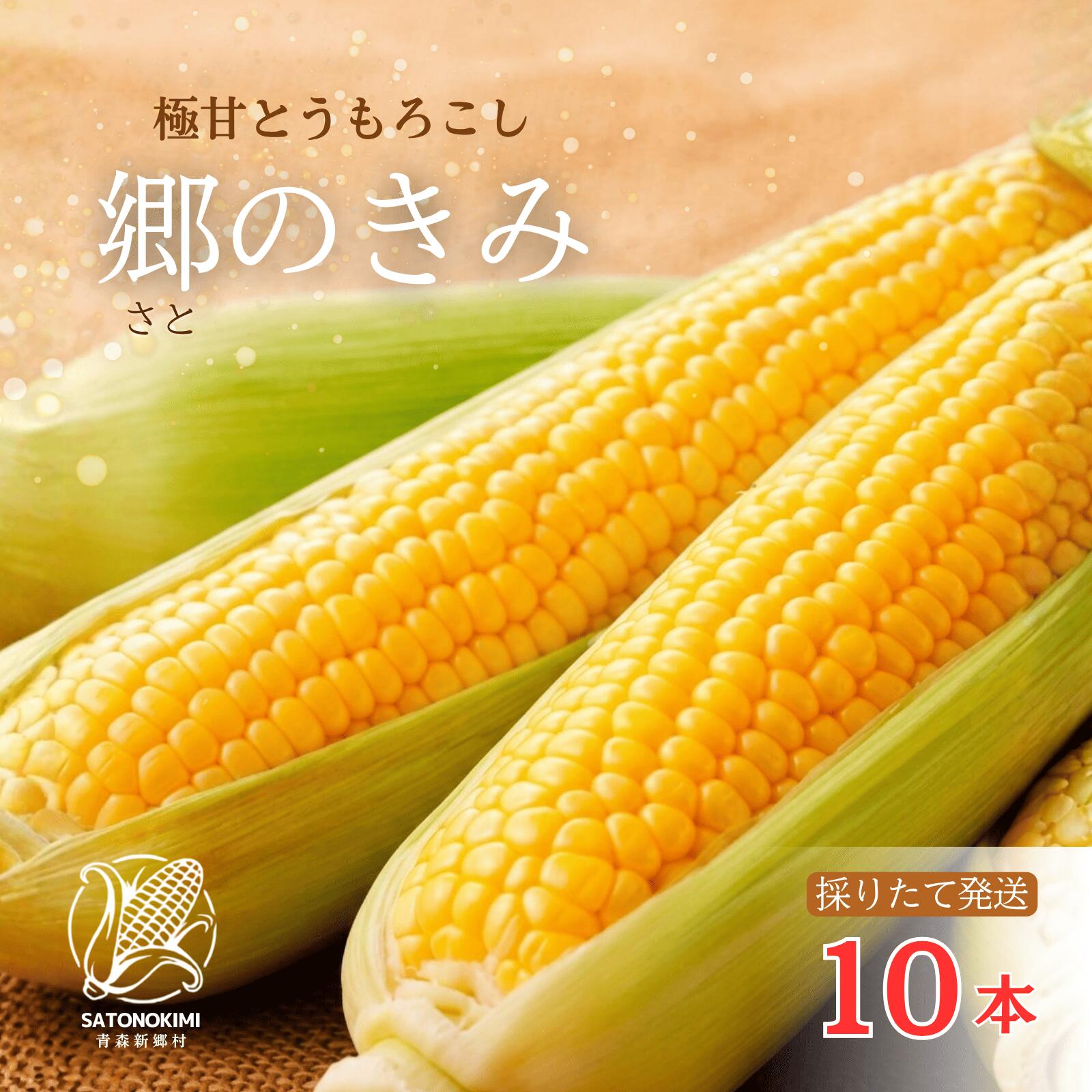 【ふるさと納税】＜先行予約＞　【三つ星フレンチの食材に選ばれたとうもろこし】「郷のきみ」10本【期間限定・数量限定】とうもろこし　きみ　コーン　出荷開始時期：8月7日〜9月30日