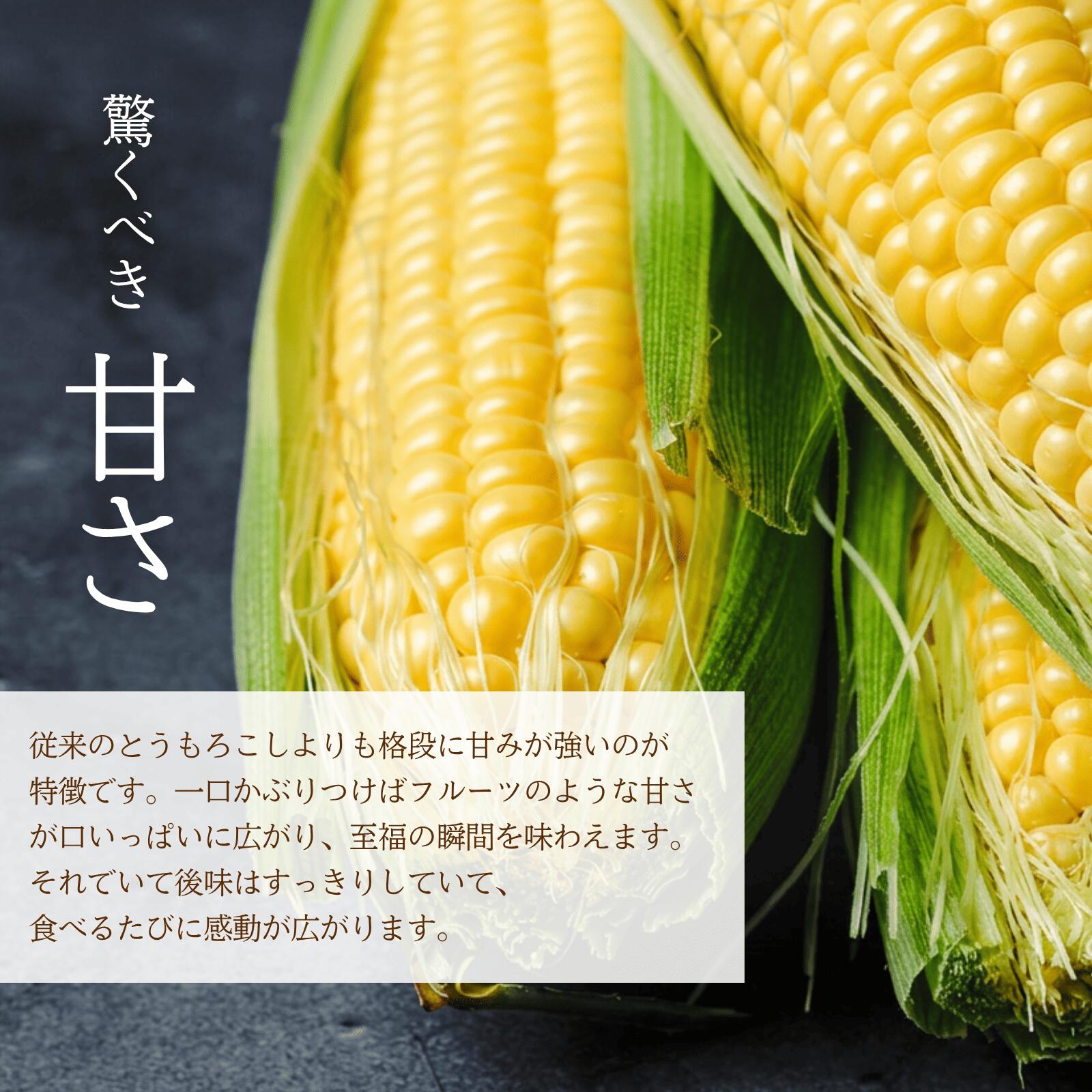 【ふるさと納税】＜先行予約＞　【三つ星フレンチの食材に選ばれたとうもろこし】「郷のきみ」10本【期間限定・数量限定】とうもろこし　きみ　コーン　出荷開始時期：8月7日〜9月30日