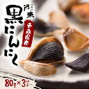 【ふるさと納税】戸来 黒にんにく【1201707】
