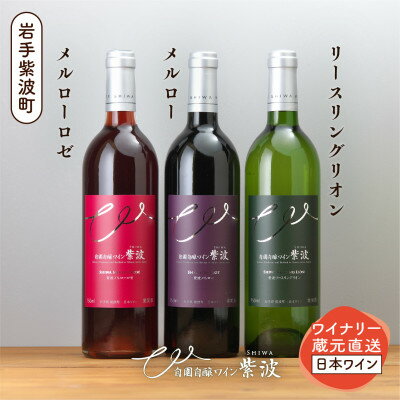 自園自醸ワイン紫波 辛口ワイン3本セット