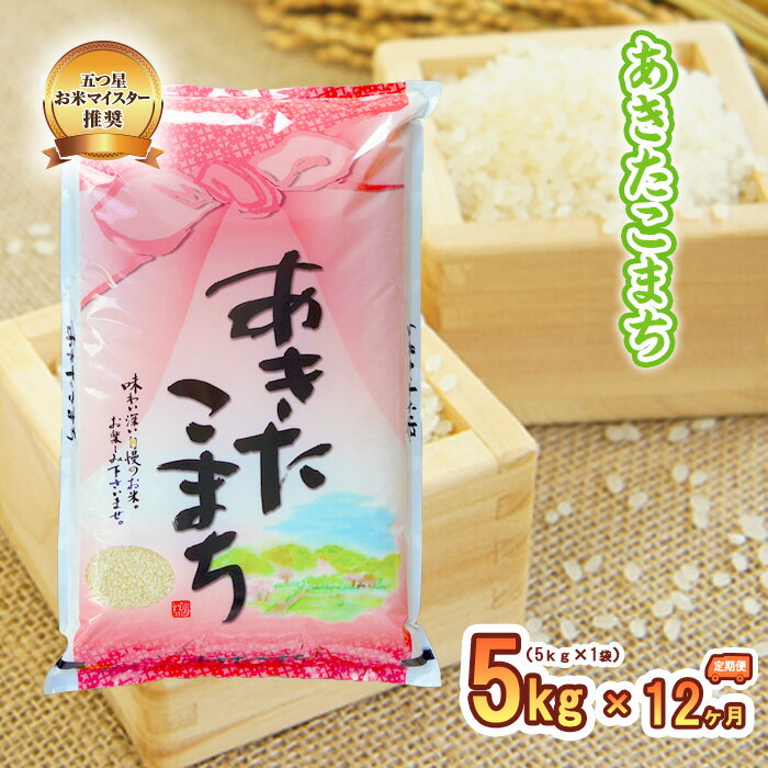 【ふるさと納税】【12か月定期便】盛岡市産あきたこまち5kg×12か月　【定期便・ ...