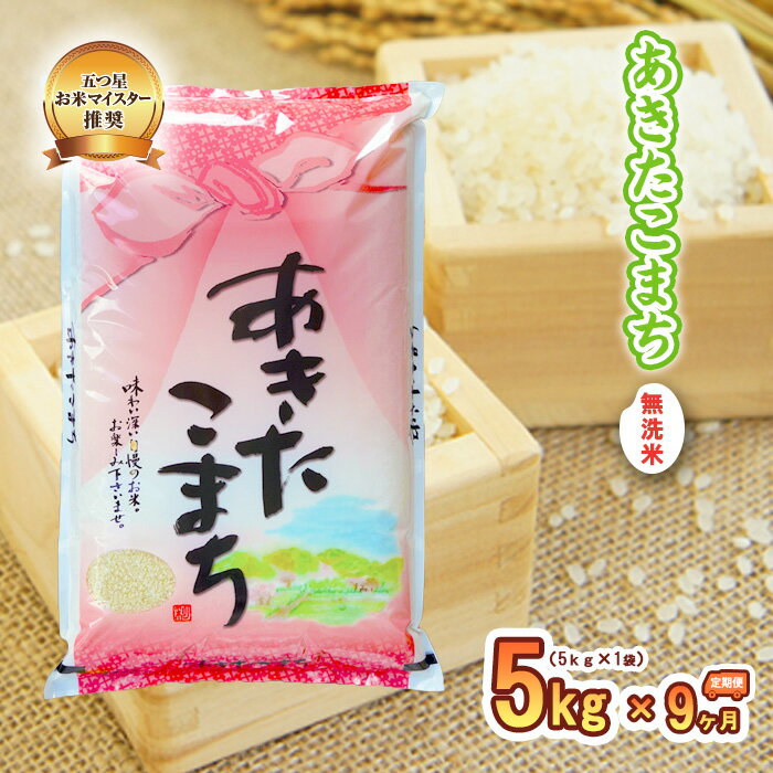 【ふるさと納税】【9か月定期便】盛岡市産あきたこまち【無洗米】5kg×9か月　【定期...