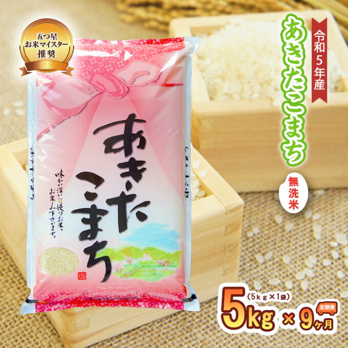 【ふるさと納税】【9か月定期便】盛岡市産あきたこまち【無洗米】5kg×9か月　【定期...