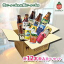 【ふるさと納税】クラフトビール 岩手 ベアレン ビール 缶 × 6本 瓶 × 6本 （計12本） 飲み比べ セット ベアレン醸造所 ベアレンビール 地ビール 詰め合わせ お酒 酒 アルコール 常温 岩手県 【 岩手県盛岡市 】 お届け：2024年3月下旬から順次発送予定