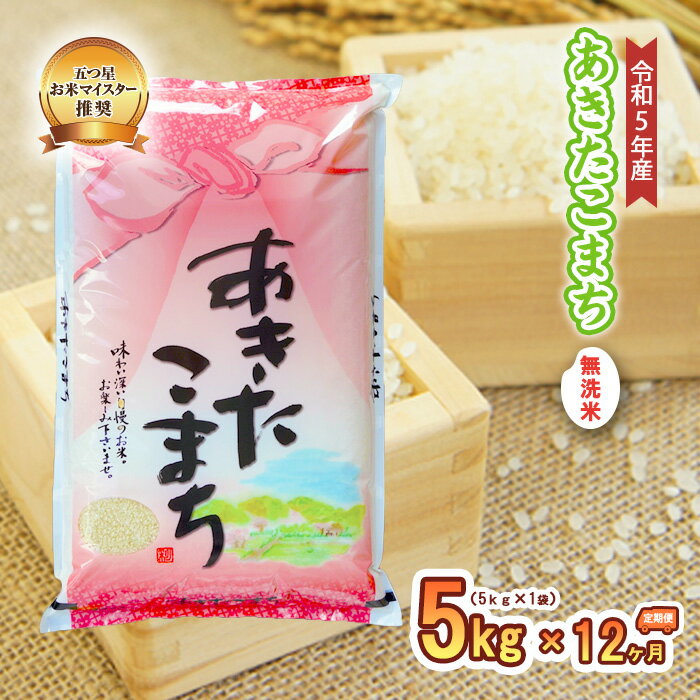 【ふるさと納税】【12か月定期便】盛岡市産あきたこまち【無洗米】5kg×12か月　【定期便・米・無洗米・お米・あきたこまち】