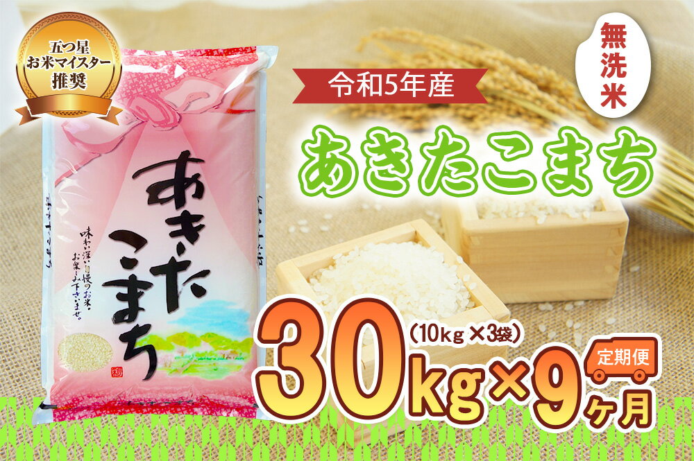 【ふるさと納税】【9か月定期便】盛岡市産あきたこまち【無洗米】30kg×9か月　【定期便・米・無洗米・お米・あきたこまち】