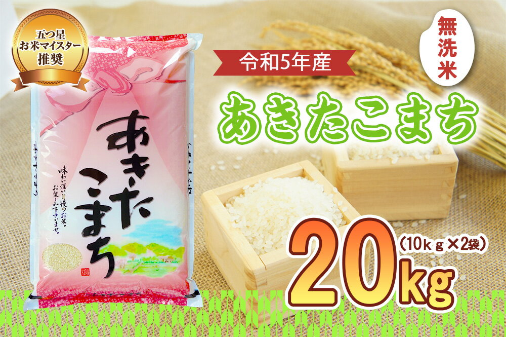 【ふるさと納税】盛岡市産 あきたこまち 無洗米 20kg　【米・無洗米・お米・あきたこまち】